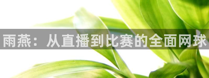 球友直播下载：雨燕：从直播到比赛的全面网球