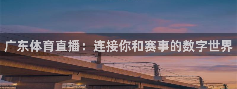 球友体育直播：广东体育直播：连接你和赛事的数字世界