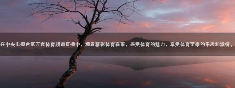 球友会直播：在中央电视台第五套体育频道直播中，观看精彩体育赛事，感受体育的魅力，享受体育带来的乐趣和激情。