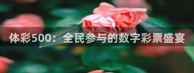 nba直播球友：体彩500：全民参与的数字彩票盛宴