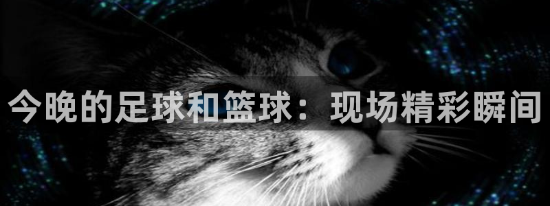 球友体育在线直播观看：今晚的足球和篮球：现场精彩瞬间