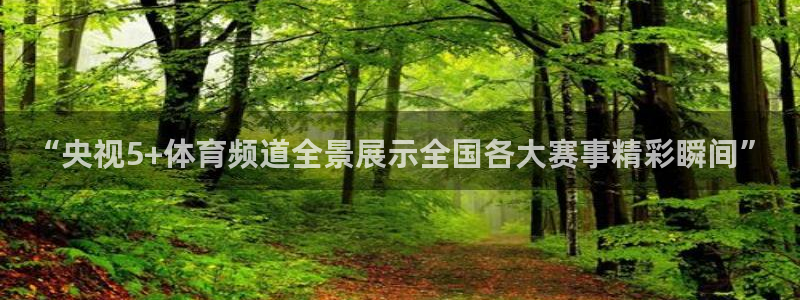 球友体育下载：“央视5+体育频道全景展示全国各大赛事精彩瞬间”