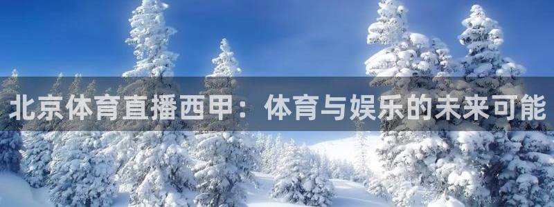 球友直播官网：北京体育直播西甲：体育与娱乐的未来可能