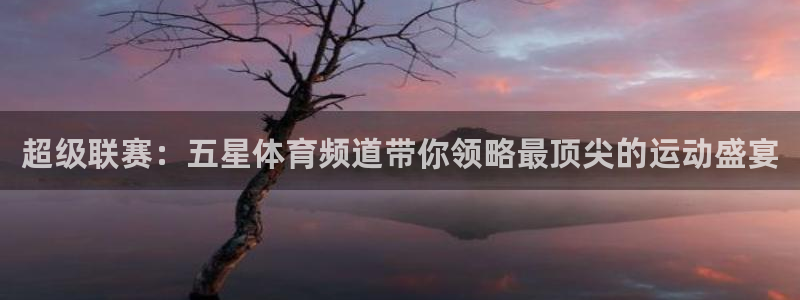 qy体育球友会：超级联赛：五星体育频道带你领略最顶尖的运动盛宴