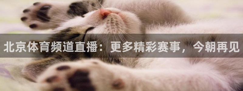 球友体育官网：北京体育频道直播：更多精彩赛事，今朝再见